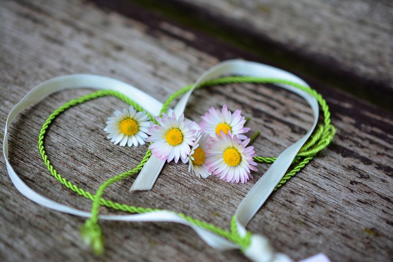 daisy-3392654_1280