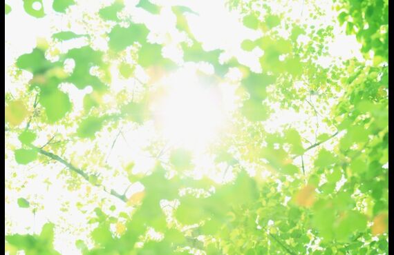 メンタルコーディネーター養成講座でビジネス催眠力を生かして起業する